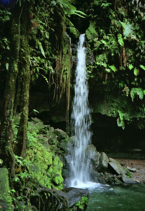 Dominica, the Nature Island - Travel Photos by Galen R Frysinger, Sheboygan, Wisconsin