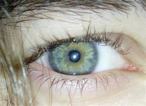 Bluish Green Eyes