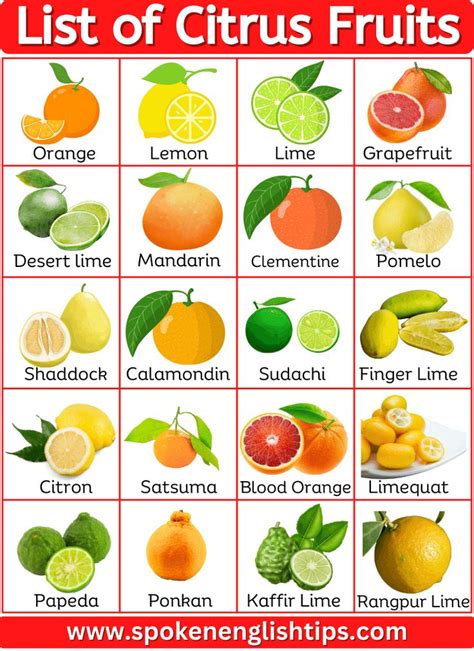 40+ List of Citrus fruits Name With Pictures in 2023 | Citrus fruit ...