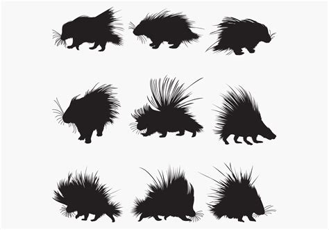 Porcupine Silhouettes Graphic by octopusgraphic · Creative Fabrica