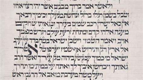 The Vilna Torah | The TaNaKh