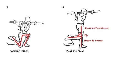 Sentadilla búlgara: como hacer y que músculos trabaja - Locura Fitness