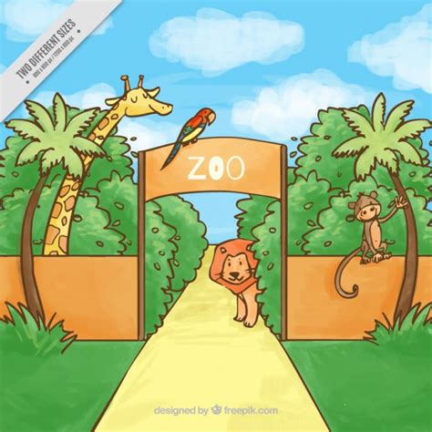 Zoo Cartoon Drawing at GetDrawings | Free download