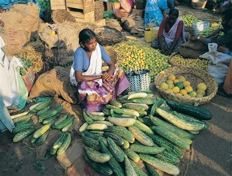 17 Best images about Kerala Village Life on Pinterest | Runners, Classical art and Tourism