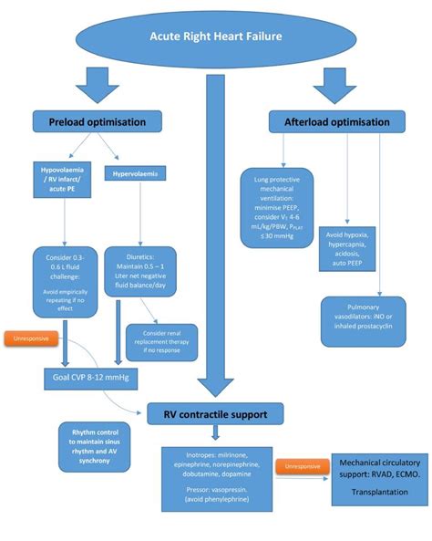 Treatment of right heart failure: is there a solution to the problem?