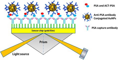 Sensors | Free Full-Text | Surface Plasmon Resonance: A Versatile Technique for Biosensor ...