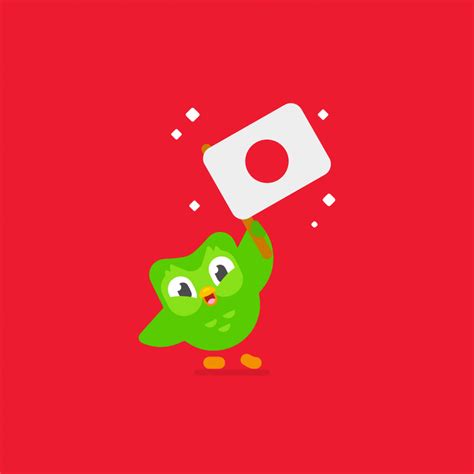 Duolingo Plus Review (2022) - Is The Premium Membership Worth It ...