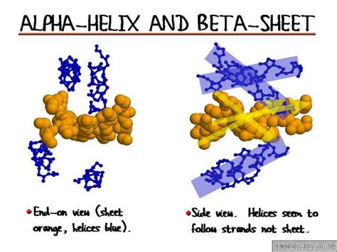 Alpha-Helix_and_Beta-Sheet