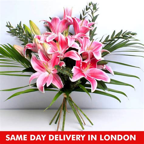 Pink Lilies For Care | Winni