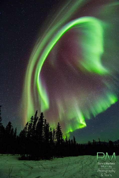 Auroras | Northern lights, Scenery, Alaska travel