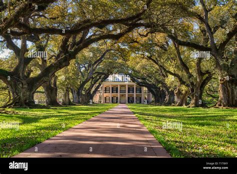 oak alley plantation Stock Photo - Alamy