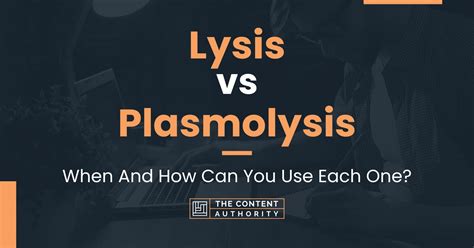 Lysis vs Plasmolysis: When And How Can You Use Each One?