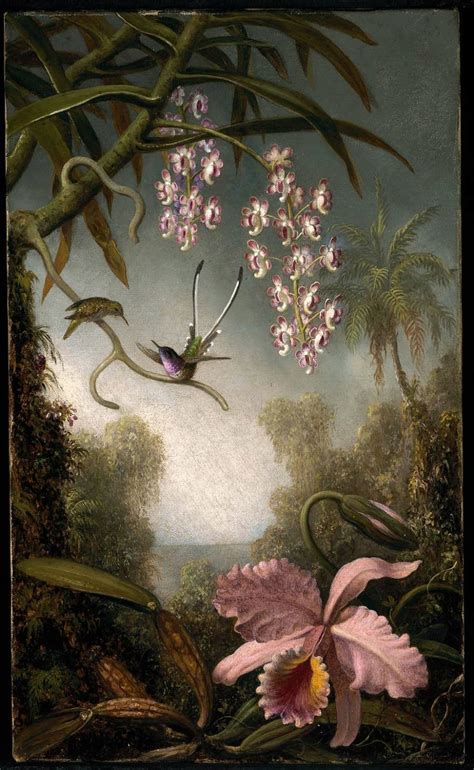 Orchids and Spray Orchids with Hummingbird, 1890 - Martin Johnson Heade - WikiArt.org