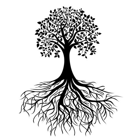 Tree Roots Drawing - ClipArt Best