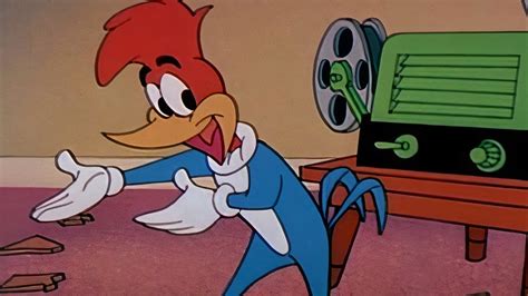 The Woody Woodpecker Show (1957) | MUBI