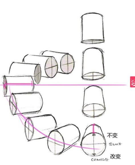 a drawing of different shapes and sizes of toilet paper rolls with chinese writing on them
