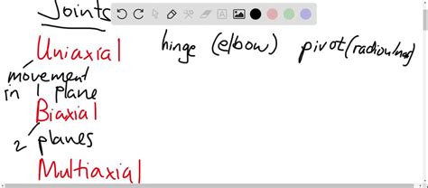 SOLVED:Name two types of uniaxial, biaxial, and multiaxial joints.