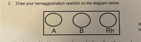 Solved 2. Draw your hemagglutination reaction on the diagram | Chegg.com