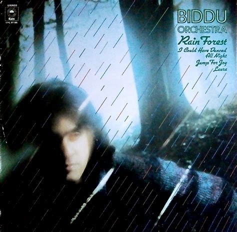 Biddu Orchestra - Rain Forest