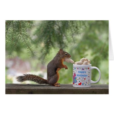 Happy Birthday Squirrel Greeting Card | Zazzle