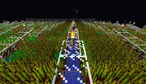 The automatic wheat farm Minecraft Project