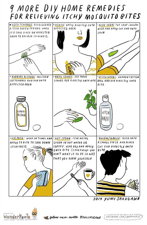 9 More DIY Home Remedies for Relieving Itchy Mosquito Bites « The ...