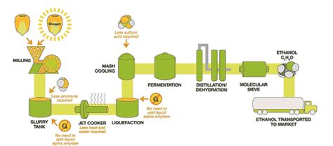 Ethanol-ready corn – Ontario Grain Farmer