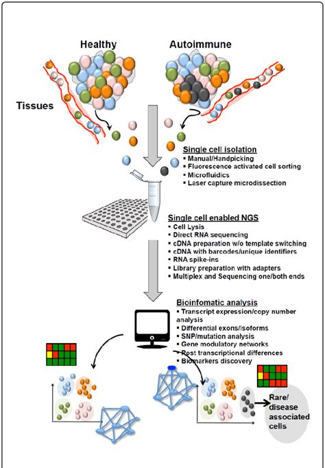 Protocol for single cell transcriptomics. | Download Scientific Diagram