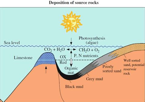 The Petroleum System, explained with illustrations - Hamed-Geo