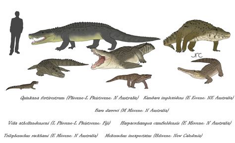 True Crocodiles 2 (the Australasian radiation) by artbyjrc on DeviantArt | Prehistoric animals ...