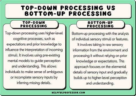 19 Bottom-Up Processing Examples (2024)