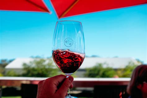 The ABCs of Wine Tasting | Wine Spectator | Red wine, Red wine benefits, Greek wine