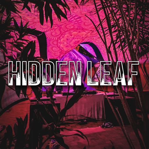 Hidden Leaf Festival | Cape Town