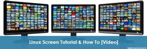 How To Use Linux Screen