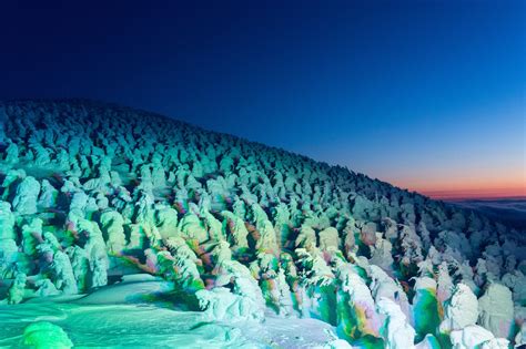 10 Best Places to Visit in Japan in Winter 2023-2024 - Japan Web Magazine