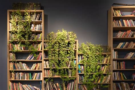 DIY Bookshelf: The 22 Best Projects To Try • Insteading