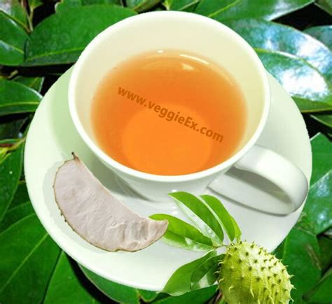 Soursop Leaves corossol Soursop tea Soursop benefits