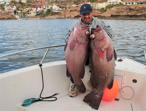 San Carlos fishing Fishing Report - December 03, 2013 | FISHTRACK.COM