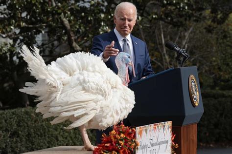 Joe Biden Pardons Turkeys Liberty and Bell in Annual Thanksgiving Tradition