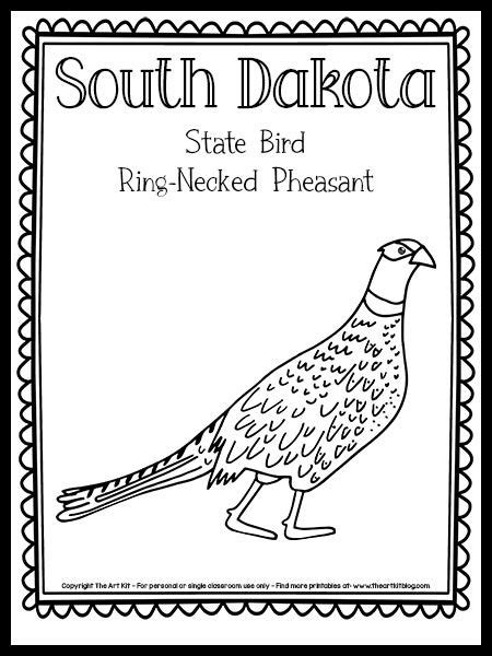 South Dakota State Bird Coloring Page (Ring-Necked Pheasant!) {FREE Printable!} | South dakota ...