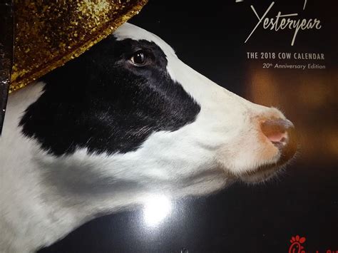 Chick-fil-a Cow CALENDAR 2018 NO CARD! Calendar ONLY Chickfila 20th Anniversary -- Antique Price ...