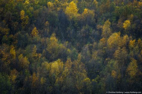 Autumn Photography: Tips to Photographing the Colors of Autumn