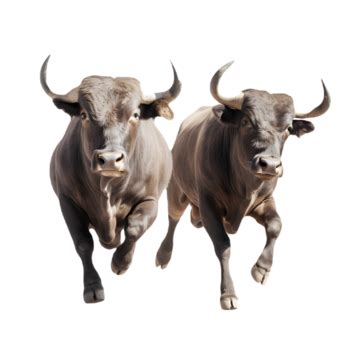 Running Bull Animal Livestock Stereo 3d Model, Bull, Livestock, Animal ...