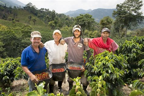 Coffee Farmworkers: The Next Step, from Research to ActionDaily Coffee News by Roast Magazine