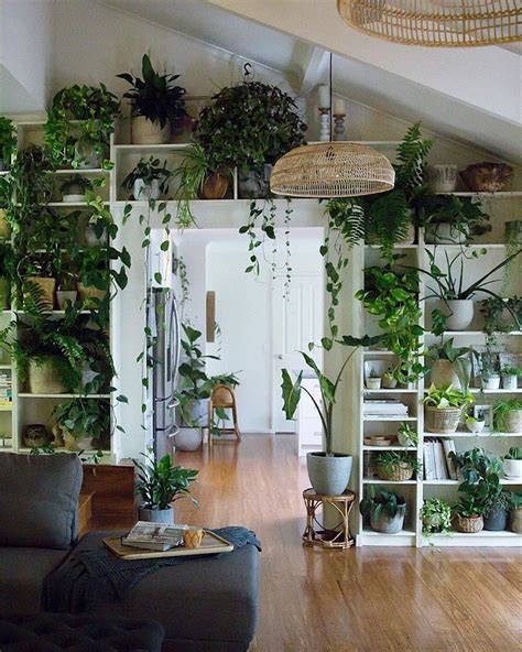 Home Decor Ideas With Plants