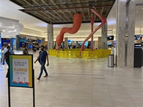 Giant flamingo lands at Tampa International Airport - The Points Guy