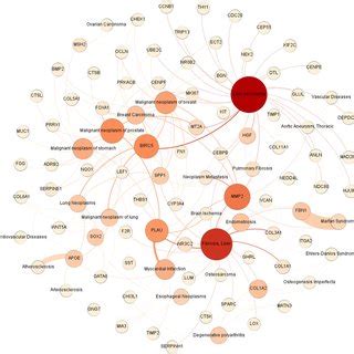 Gene-disease network. It shows not only the diseases and syndromes that... | Download Scientific ...