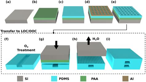 Schematic illustration of the microfabrication process (from (a-e)) and ...