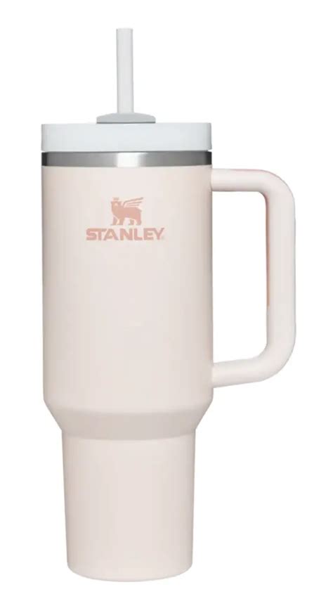 The NEW Stanley Mug | Everything you need to know! – The Modern Mindful Mom