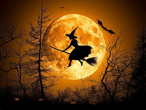 Full Moon Witch On Broom Free Stock Photo - Public Domain Pictures